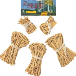 Adult Wizard of Oz Scarecrow Straw Accessory Set