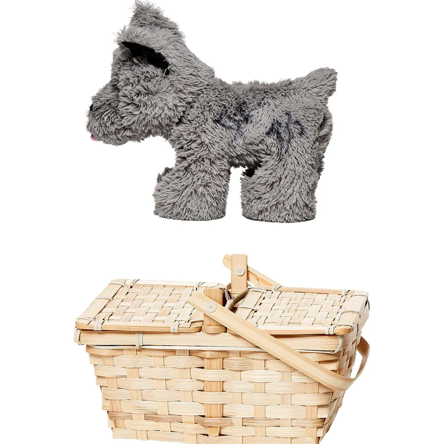 Adult Wizard of Oz Toto in a Basket - Deluxe Accessory
