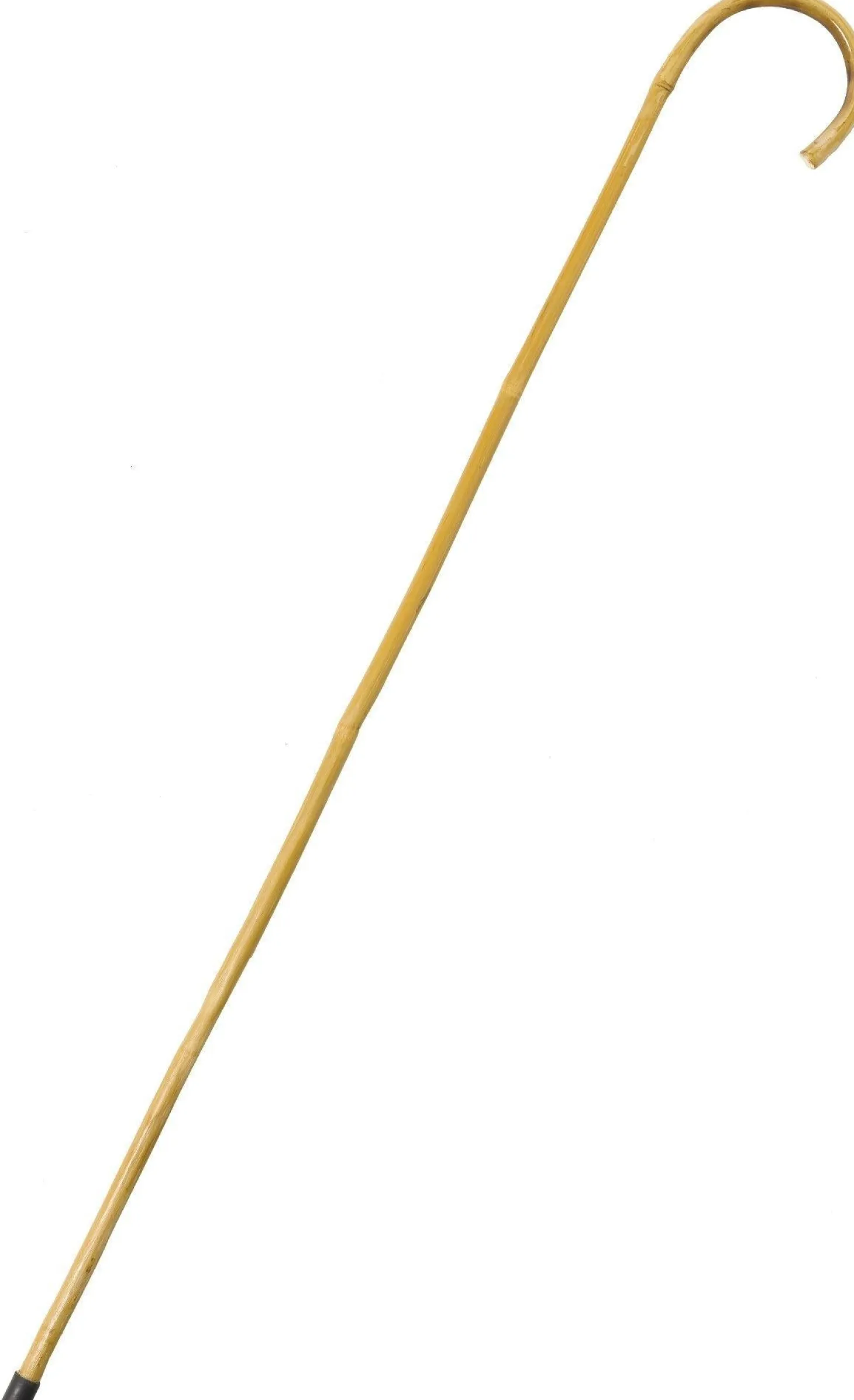 Bamboo Cane 37in