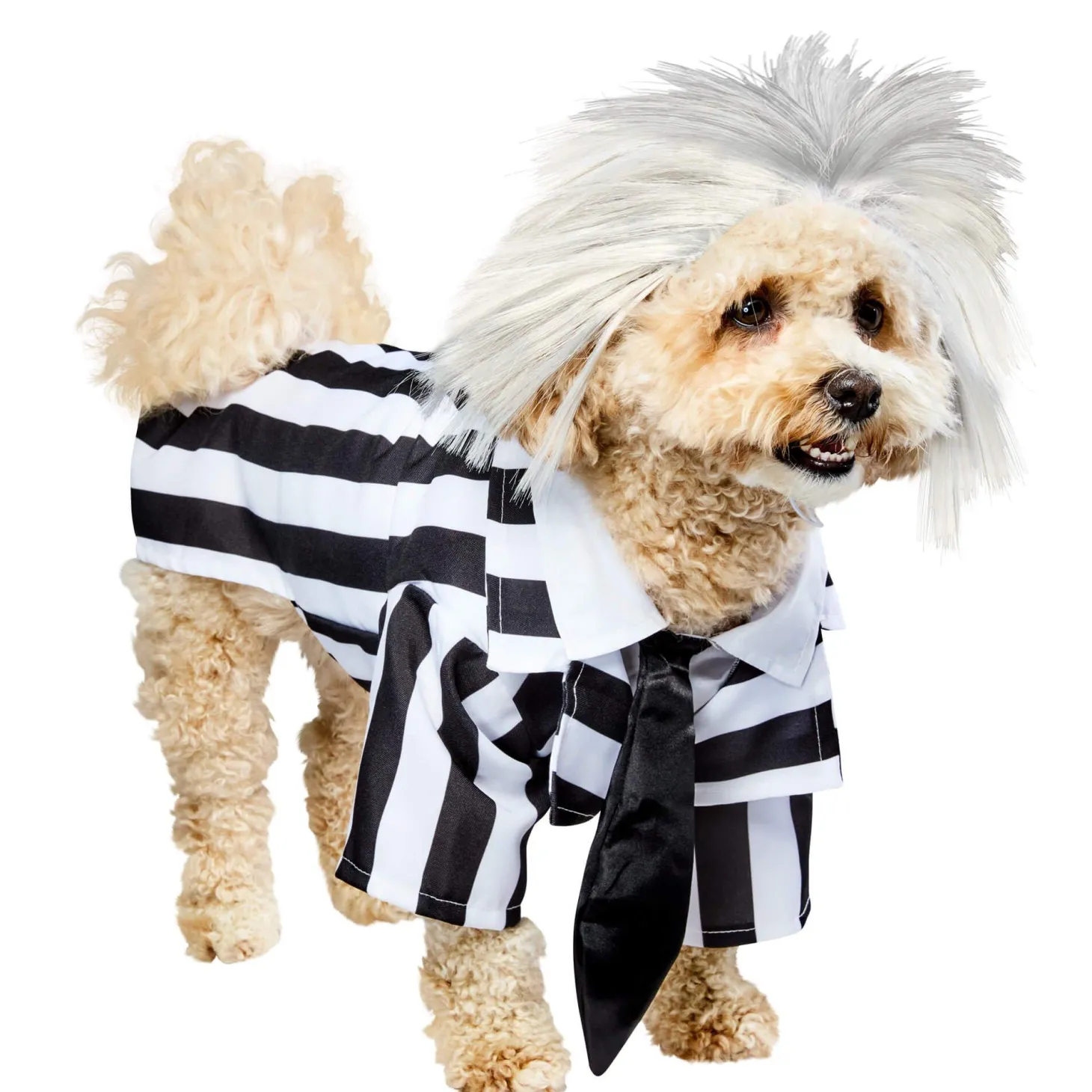 Beetlejuice Dog Costume