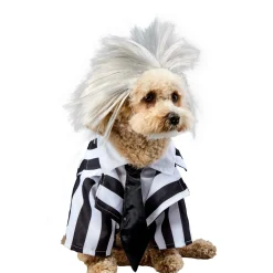 Beetlejuice Dog Costume