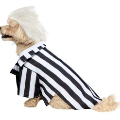 Beetlejuice Dog Costume