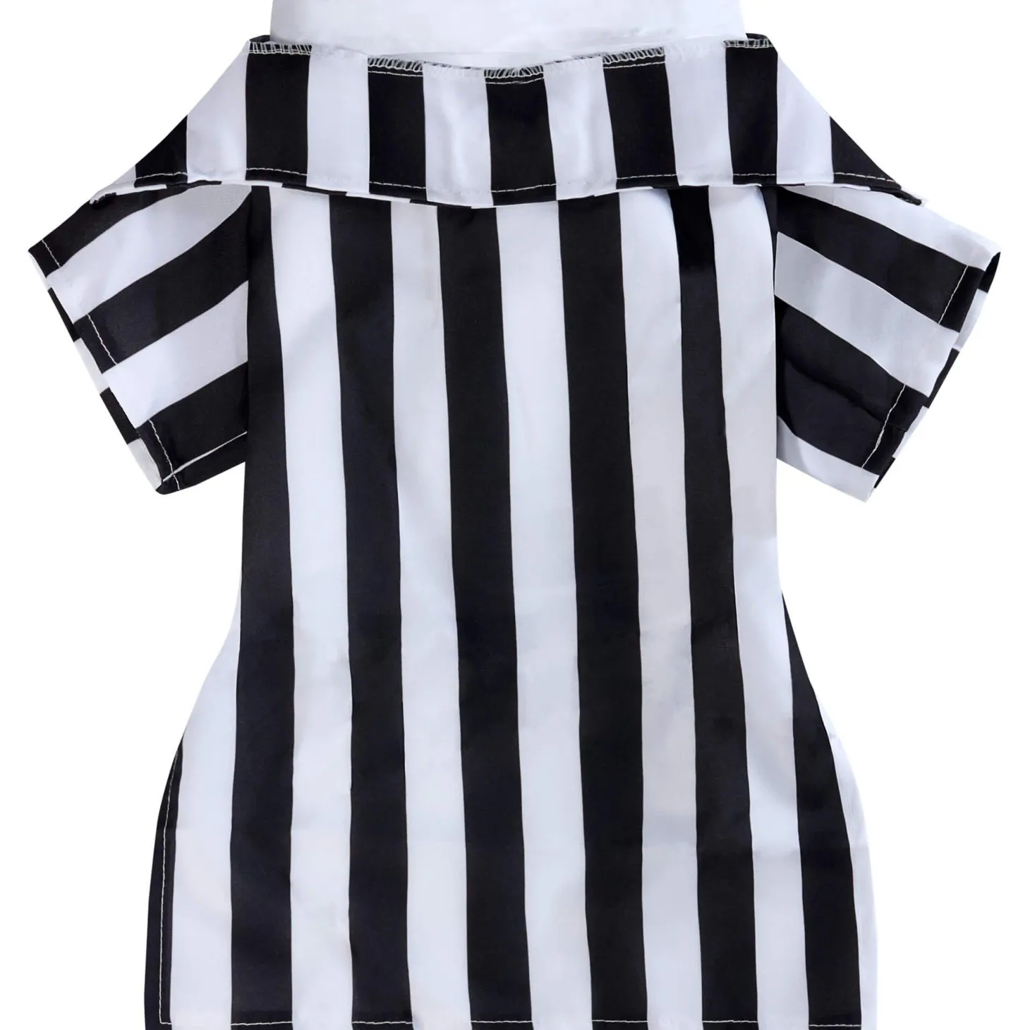 Beetlejuice Dog Costume