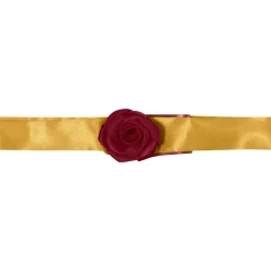 Belle Dog Costume - Beauty and the Beast