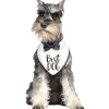 Best Dog Bandana