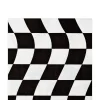 Black & White Checkered Flag Lunch Napkins 16ct