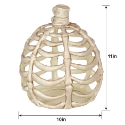 Bone Plastic Pumpkin, Sizes 6in and 11in