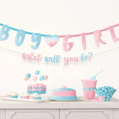 Boy or Girl Gender Reveal Letter Banner Set, 2pc - The Big Reveal