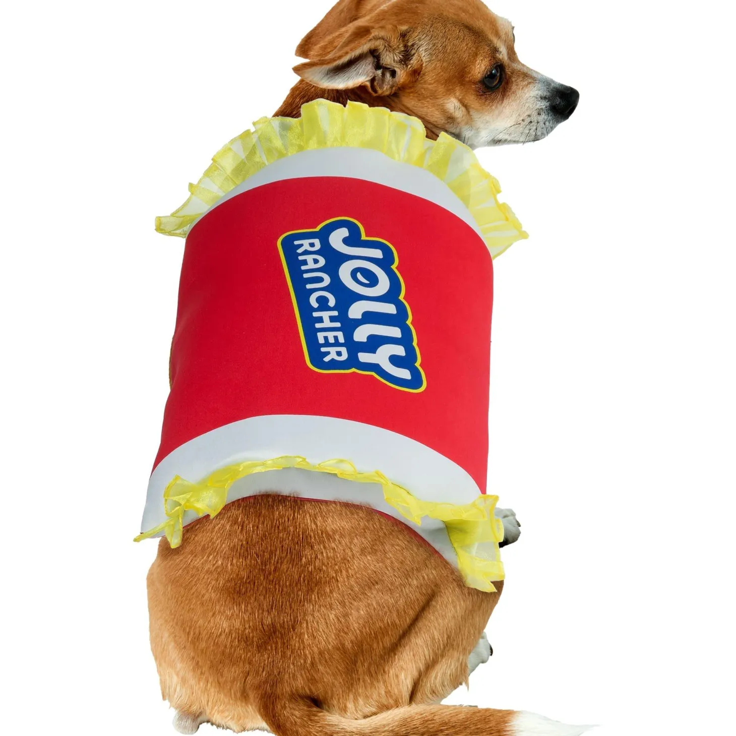 Cherry Jolly Rancher Pet Costume