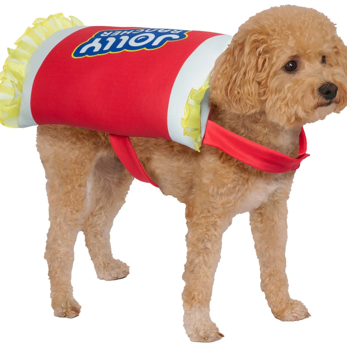 Cherry Jolly Rancher Pet Costume