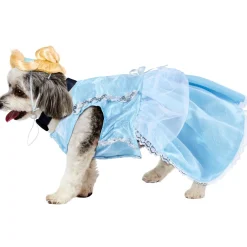 Cinderella Pet Costume