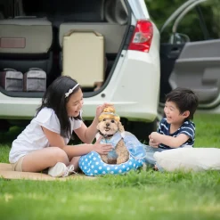 Cinderella Pet Costume