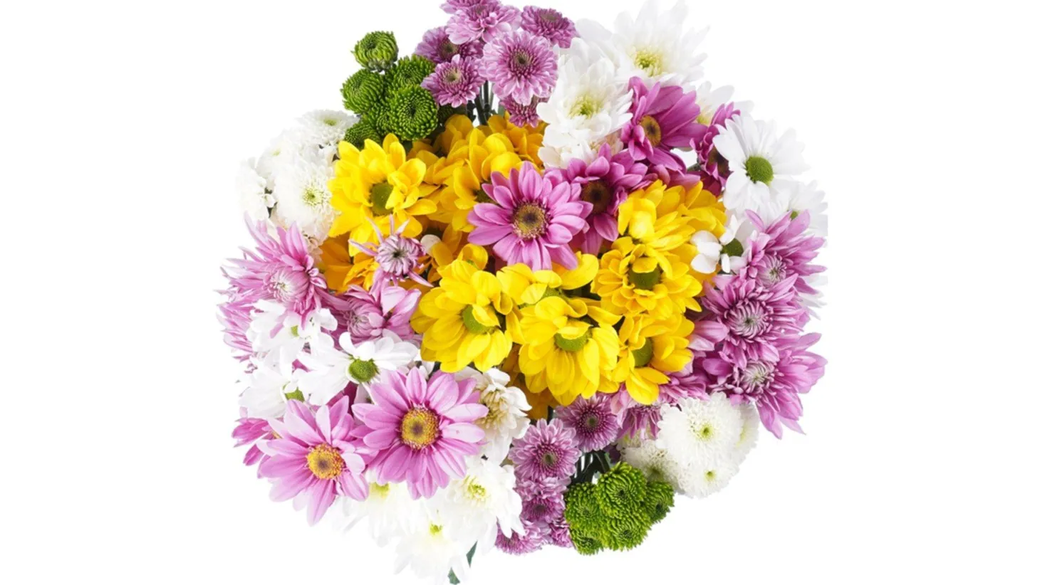 Darling Daisies Flower Bouquet (12 ct)