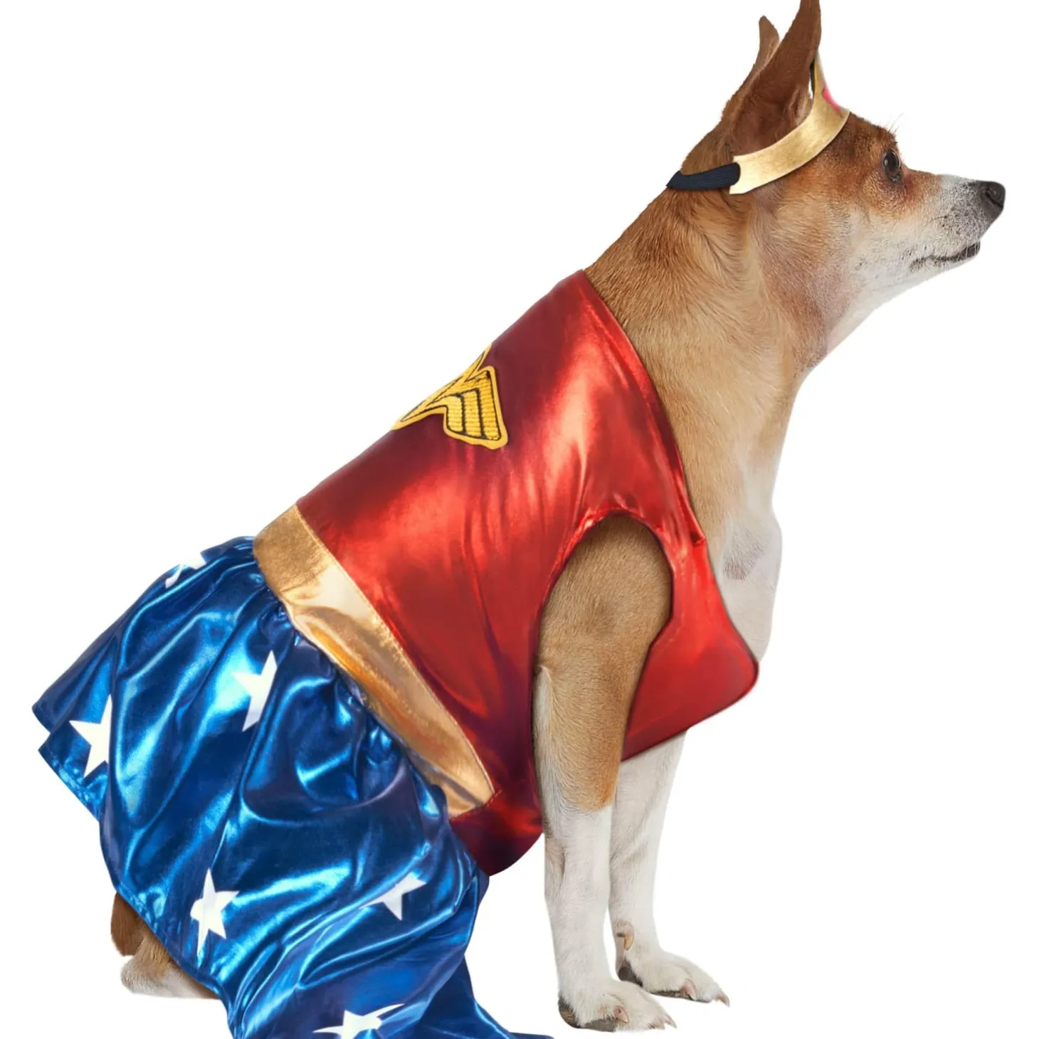 DC Comics Wonder Woman Big Dog Pet Costume - Classic