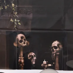 3D Dark Academia Plastic Scene Setter with Add-Ons, 5.4ft x 5.4ft