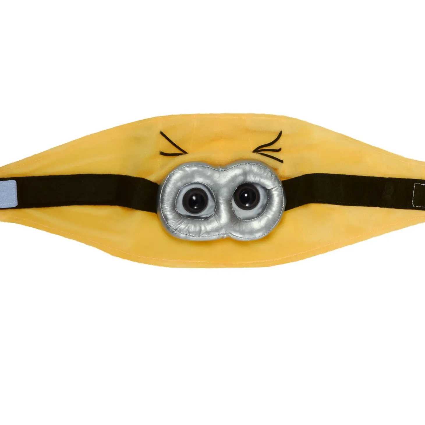 Despicable Me 2 Minion Pet Costume