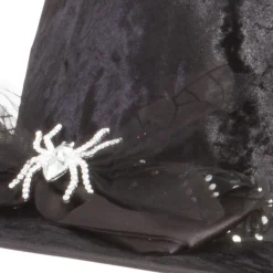 Fancy Witch Hat
