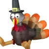 3 Foot Harvest Turkey Light Up Thanksgiving Inflatable Lawn Decoration