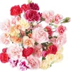 Fresh-cut Mini Carnation Flower Bouquet (10 ct)
