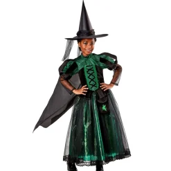 Girls' The Wizard of Oz Wicked Witch Costume - Deluxe