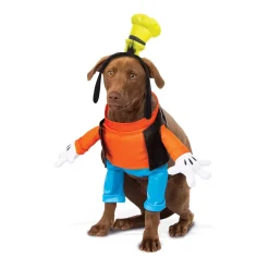Goofy Dog Costume