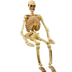 Hanging Plastic Skeleton, 5ft