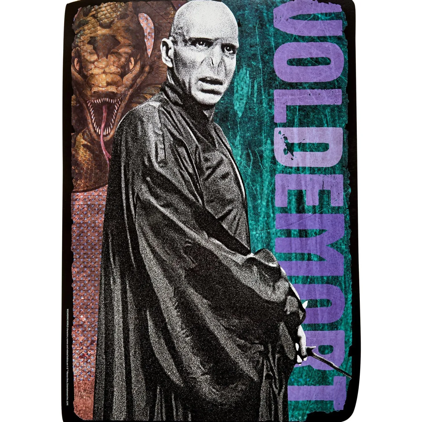 Harry Potter Trunk or Treat Car Decoration Kit