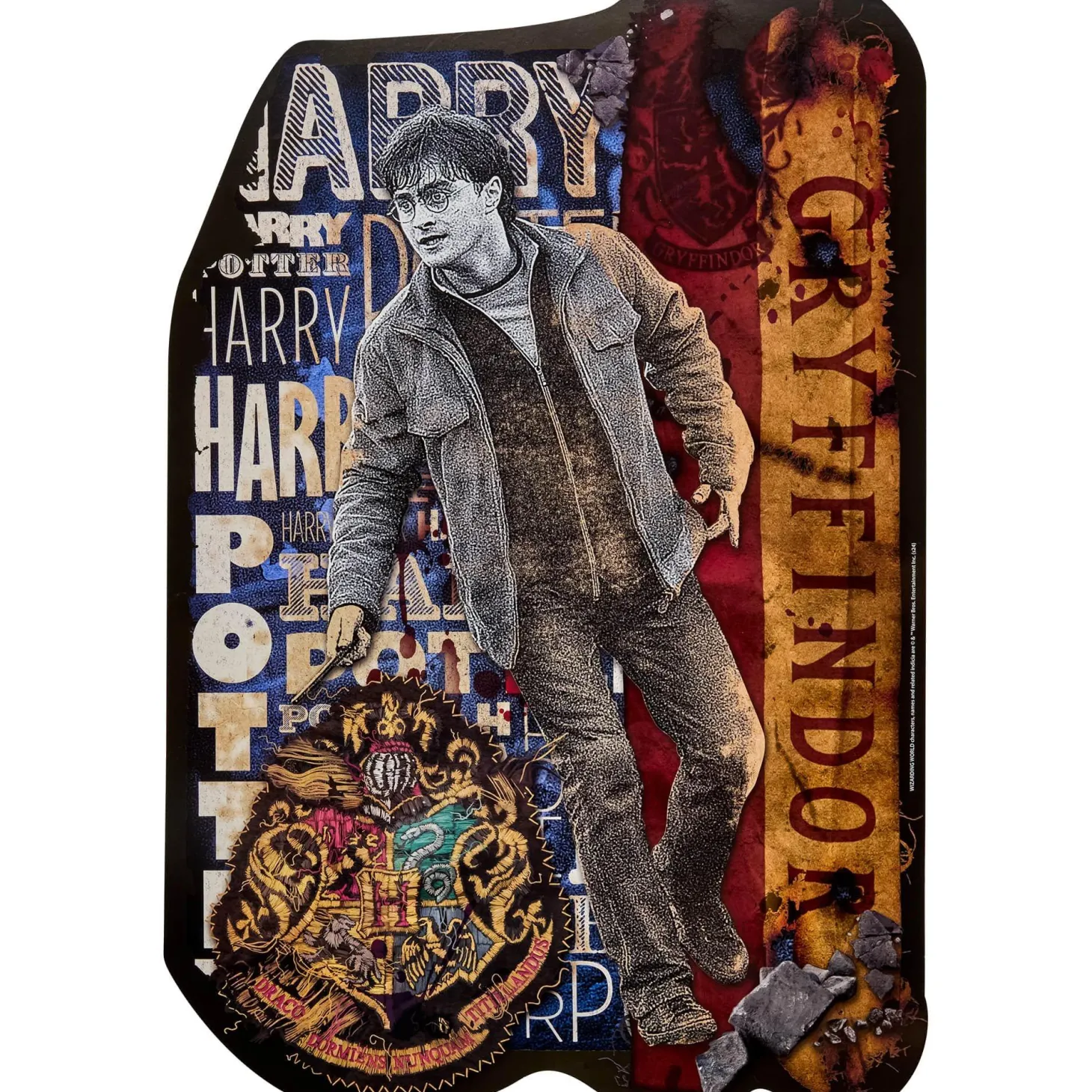 Harry Potter Trunk or Treat Car Decoration Kit
