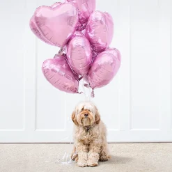 Heart Balloon, 17in, Assorted Colors