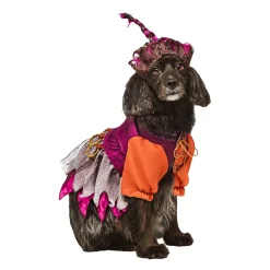 Hocus Pocus Mary Pet Costume
