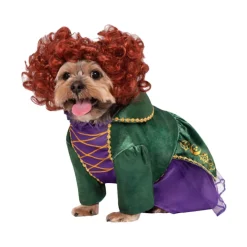 Hocus Pocus Winifred Pet Costume