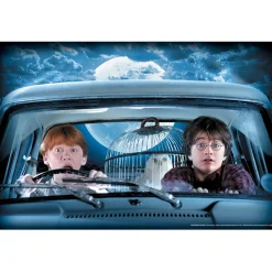 36-inch Harry Potter and Ron Weasley Window Cover Decoration