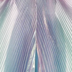 Iridescent Wings