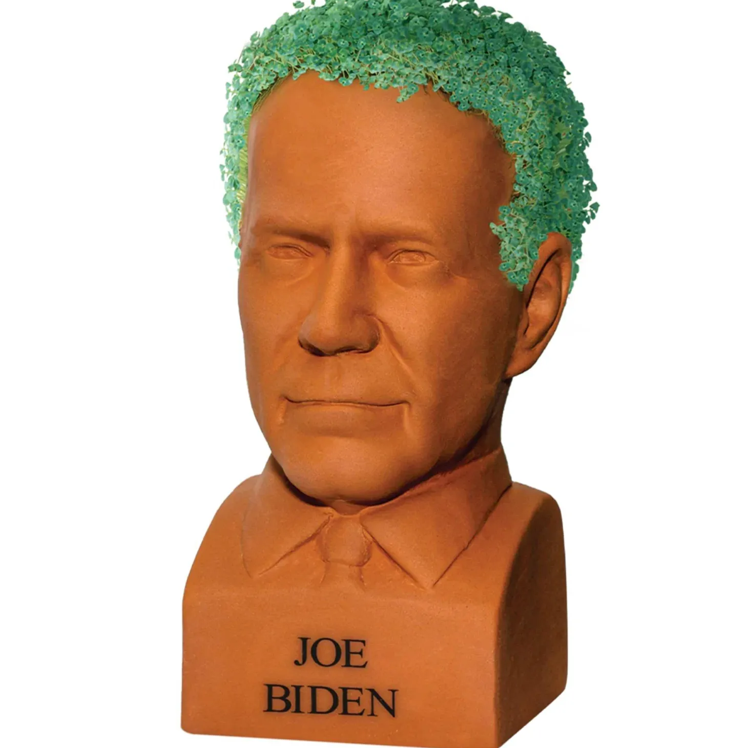 Joe Biden Chia Pet