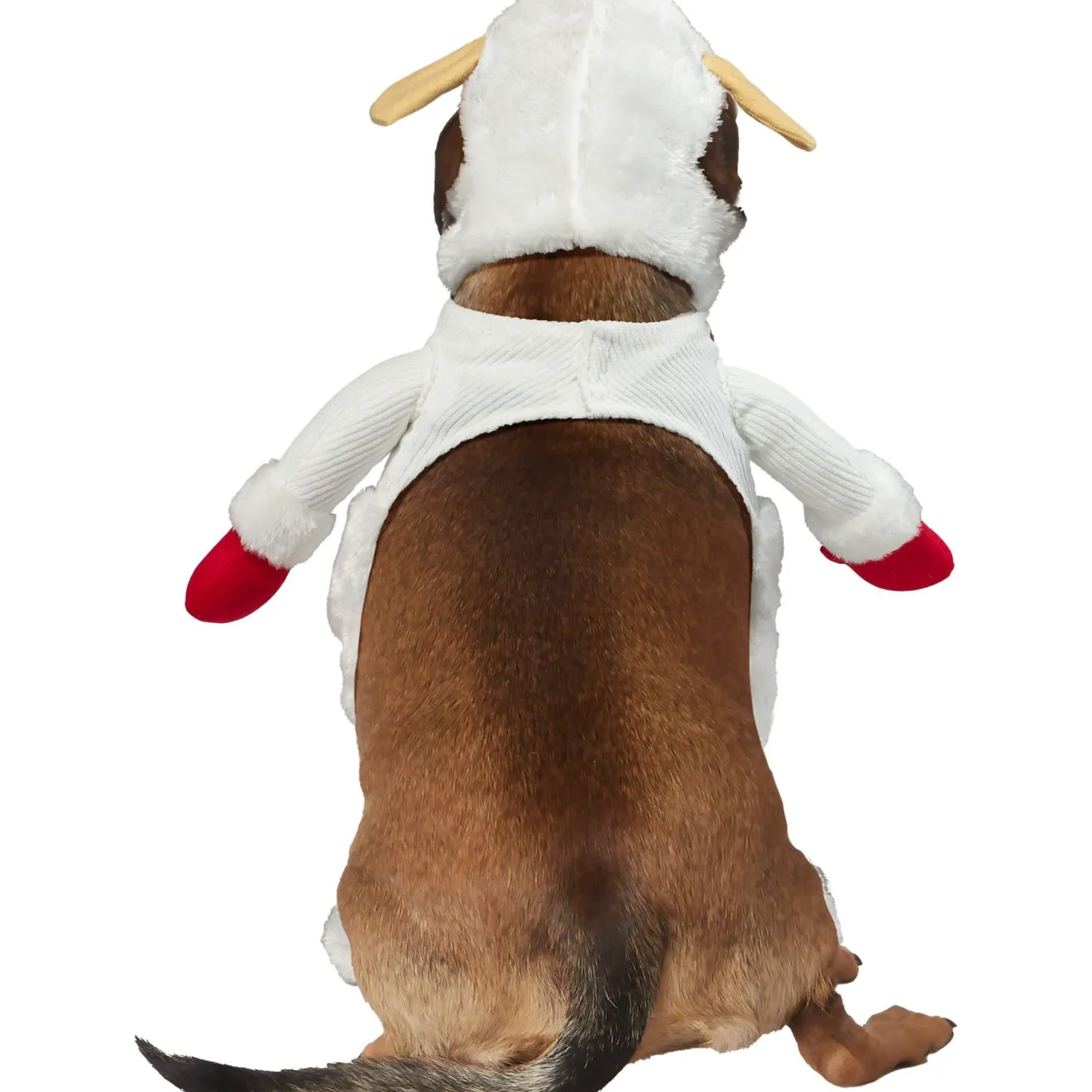 Lamb Chop Pet Costume