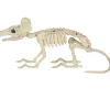 Large Plastic Rat Skeleton, 13.5in x 7in