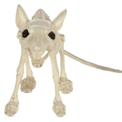Large Plastic Rat Skeleton, 13.5in x 7in