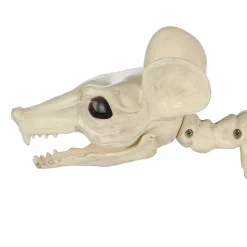 Large Plastic Rat Skeleton, 13.5in x 7in