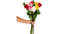 Magical Mixed Roses Flower Bouquet (12 ct)