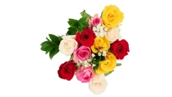 Magical Mixed Roses Flower Bouquet (12 ct)