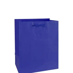 Medium Gift Bag, Assorted Colors