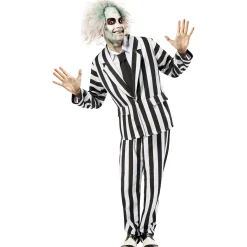 Men's Beetlejuice Beetlejuice Costume - Deluxe
