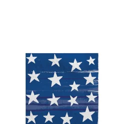 Painted Patriotic Party Kit for 16 Guests