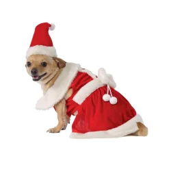 Pet Mrs. Claus Costume