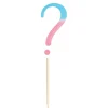 Pink & Blue Question Mark Party Picks, 24ct - Gender Reveal
