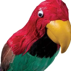 Pirate Parrot