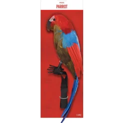 Pirate Parrot