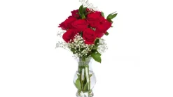 Premium Red Rose Flower Bouquet (12 ct)