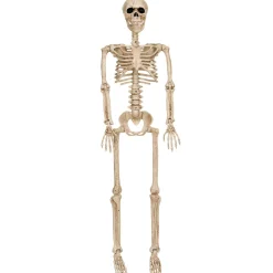 Realistic Hanging Skeleton, 3ft - Halloween Decoration