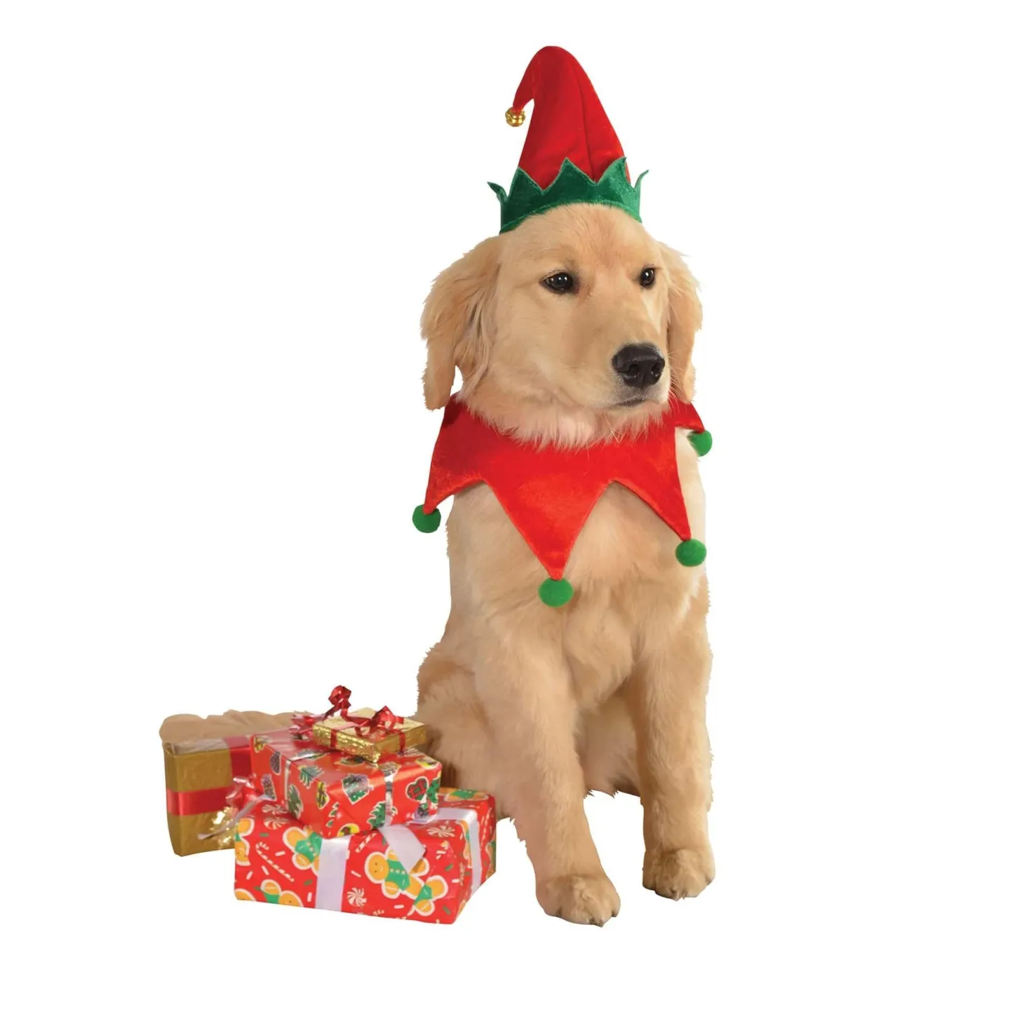 Red and Green Elf Pet Collar and Hat